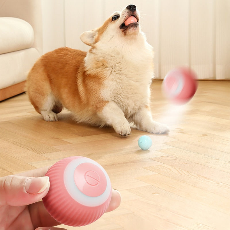 Smart Puppy Ball Toys