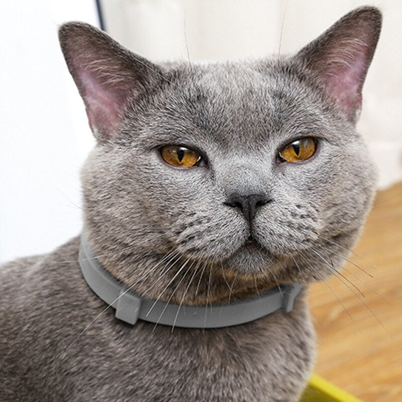 Adjustable Pet Anti Flea Collar