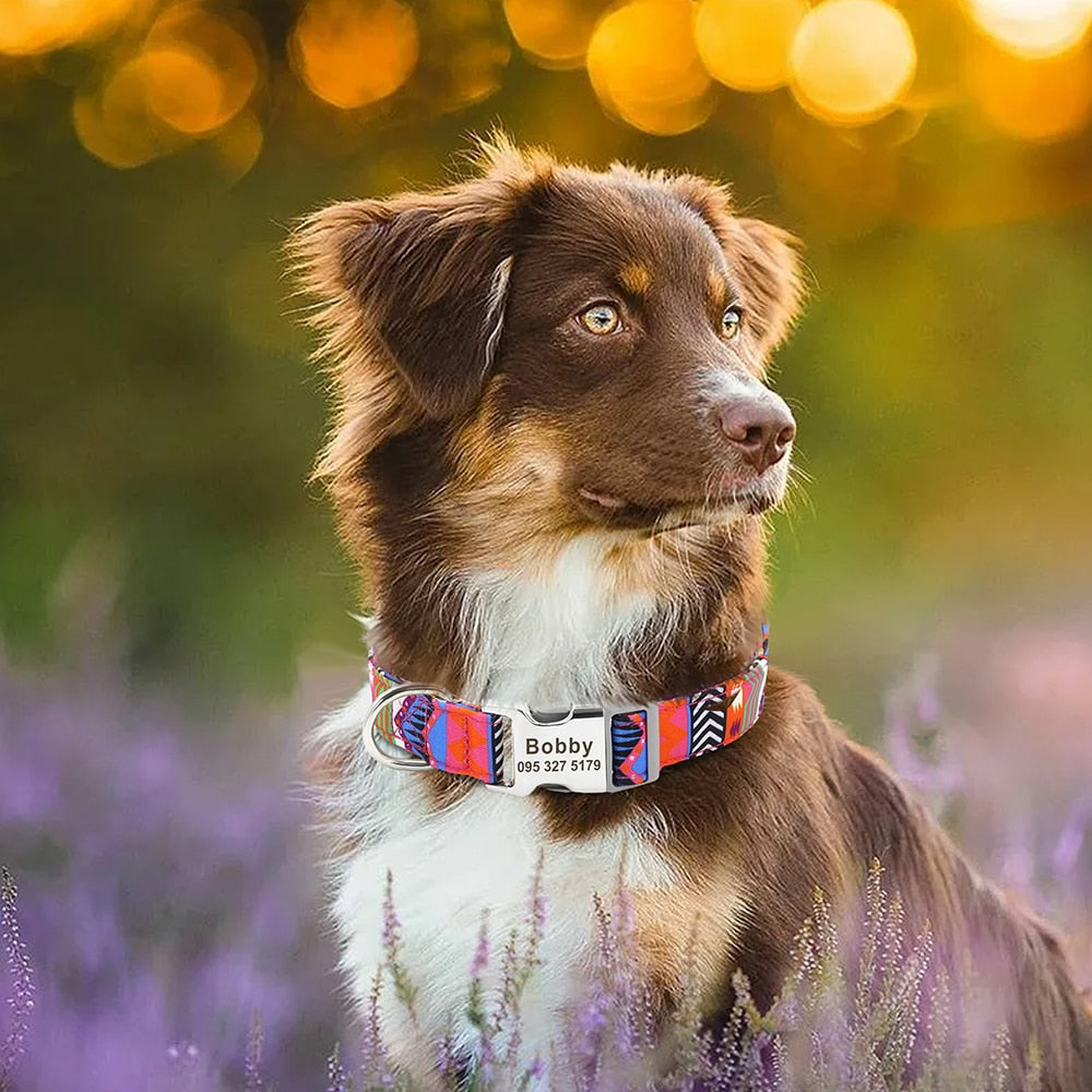 Custom Large Dog Collar