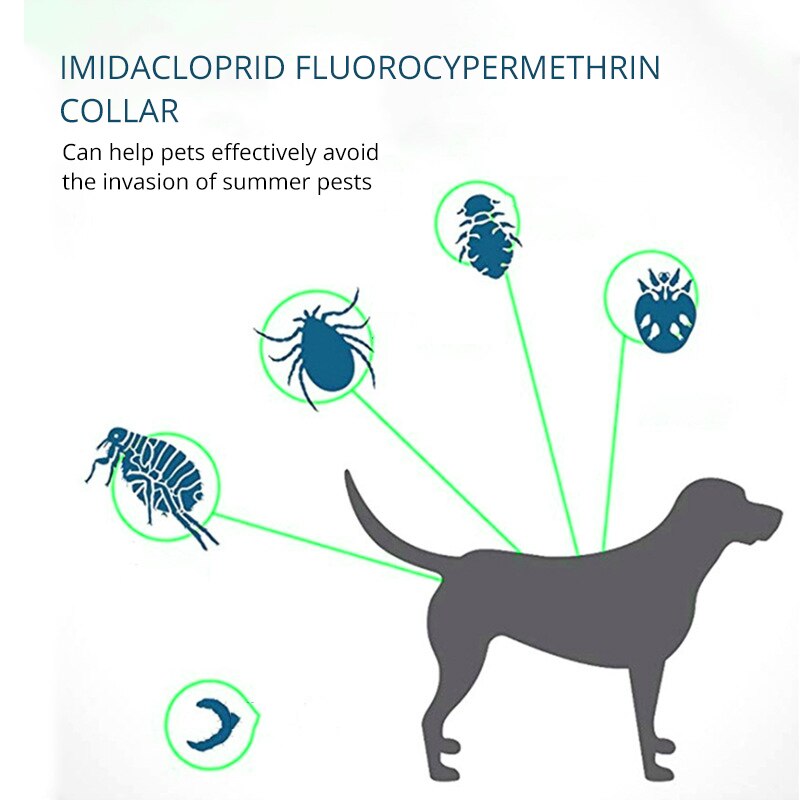 Adjustable Pet Anti Flea Collar