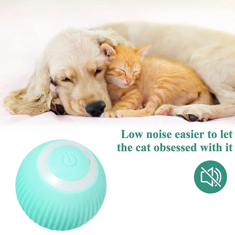 Smart Puppy Ball Toys