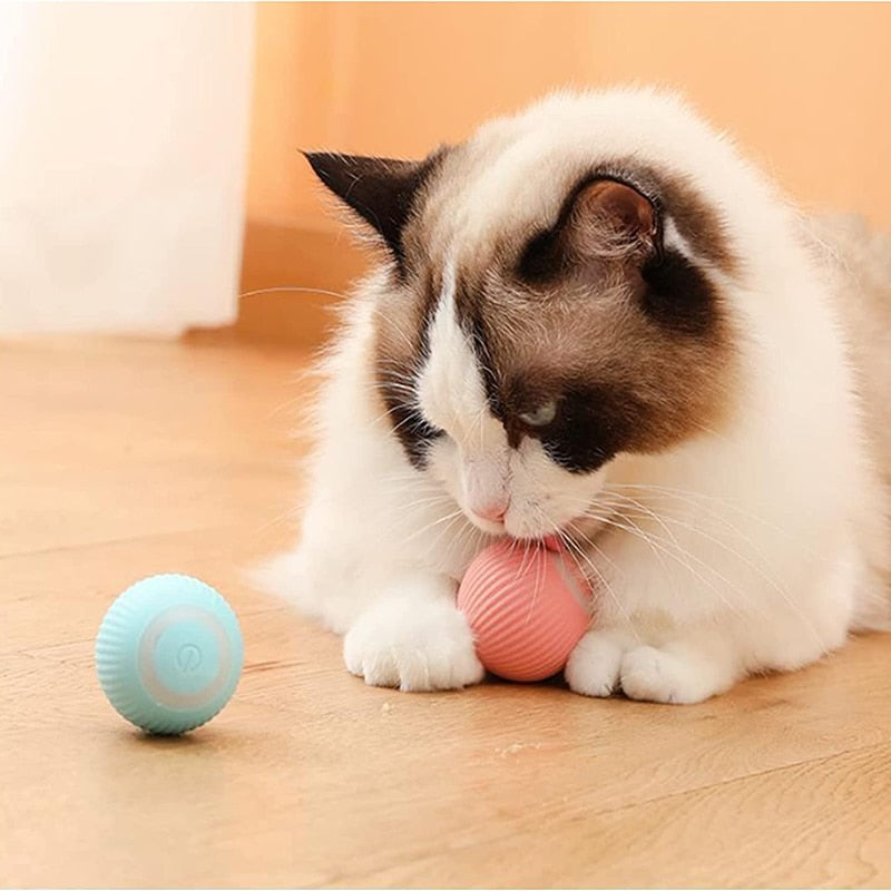 Smart Puppy Ball Toys