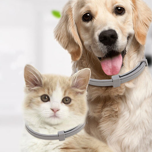 Adjustable Pet Anti Flea Collar