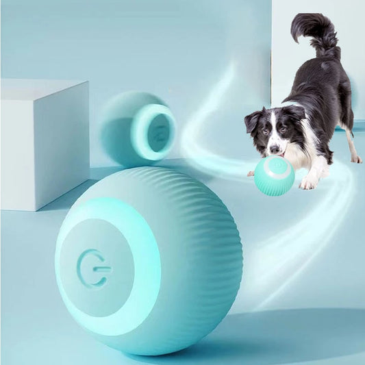 Smart Puppy Ball Toys